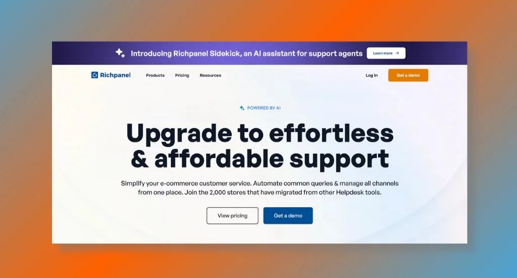 Richpanel - AI-Driven Customer Analytics
