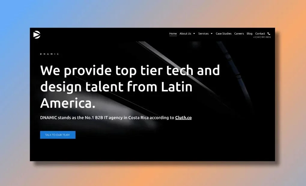 DNAMIC - Best B2B IT Outsourcing Company