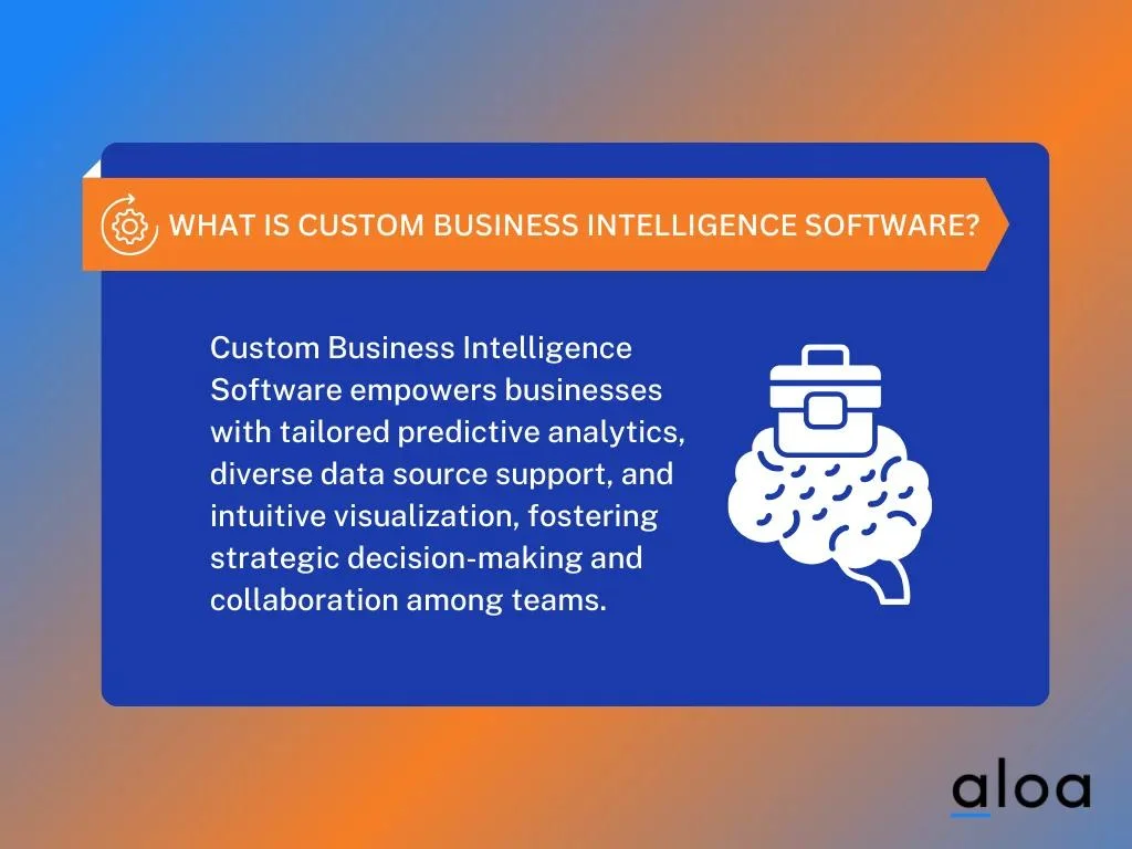 What Is Custom Business Intelligence Software