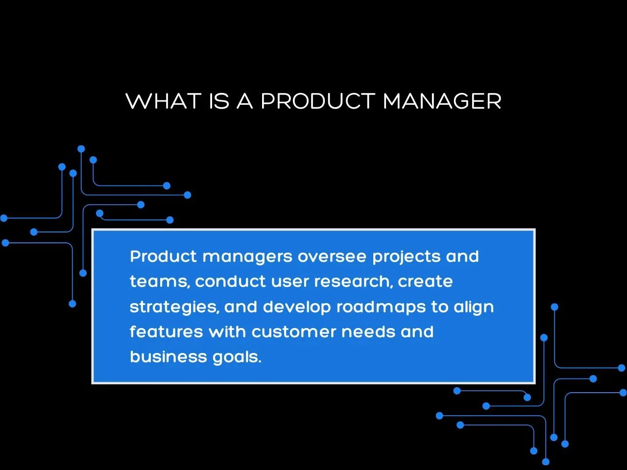 What is a Product Owner