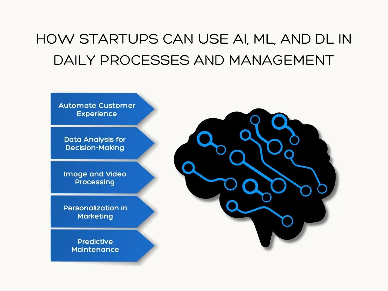How Startups Can Use AI, ML, and DL in Daily Processes and Management