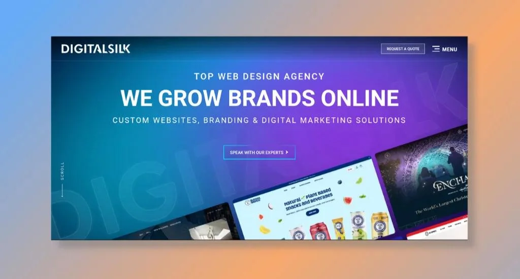 Digital Silk - Delivering End-to-End Ecommerce Development