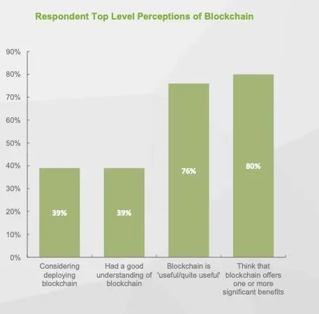 Respondent Top Level Perceptions of Blockchain