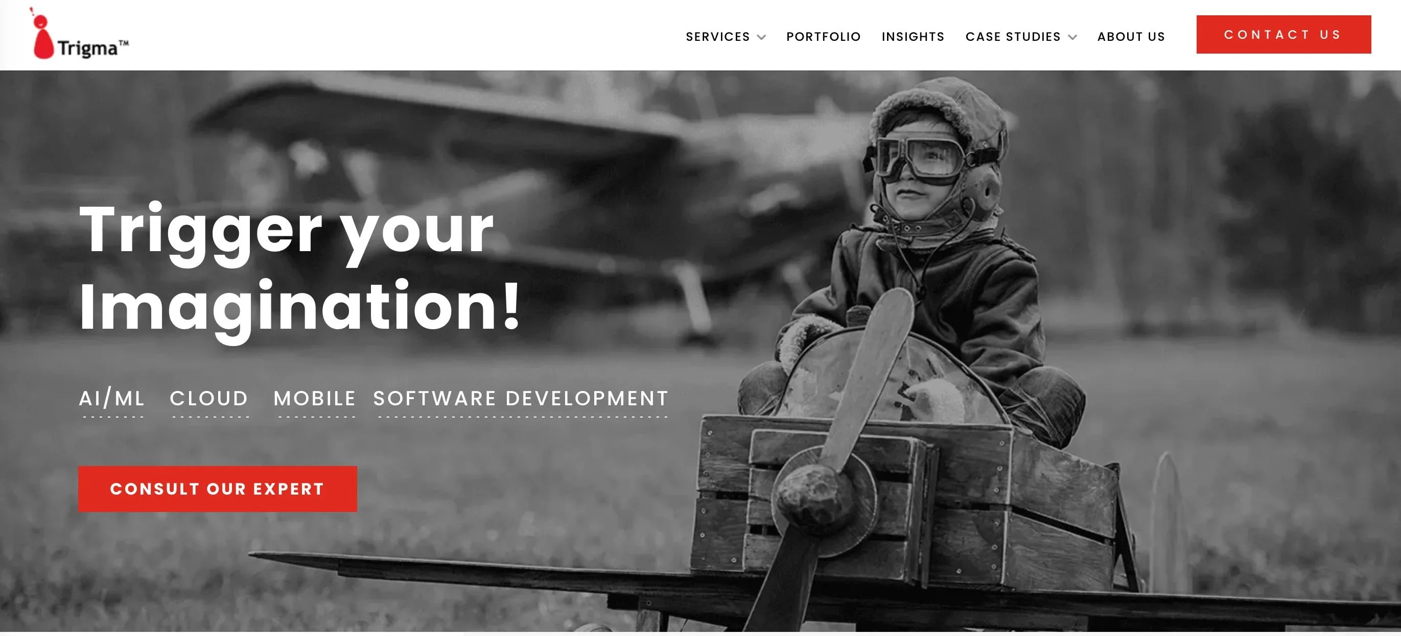 Trigma - Highly-Trained Web Designers