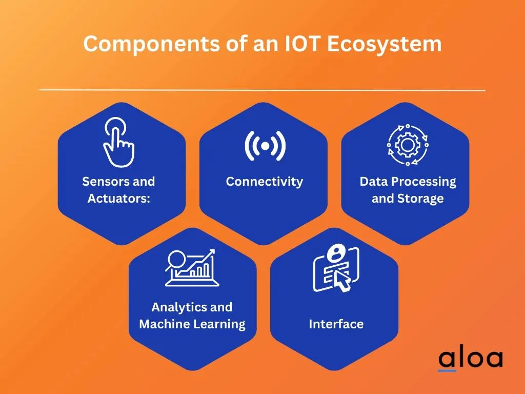 Components of an IOT Ecosystem