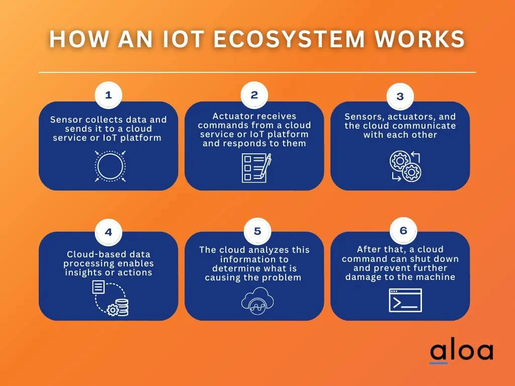 How an IOT Ecosystem works